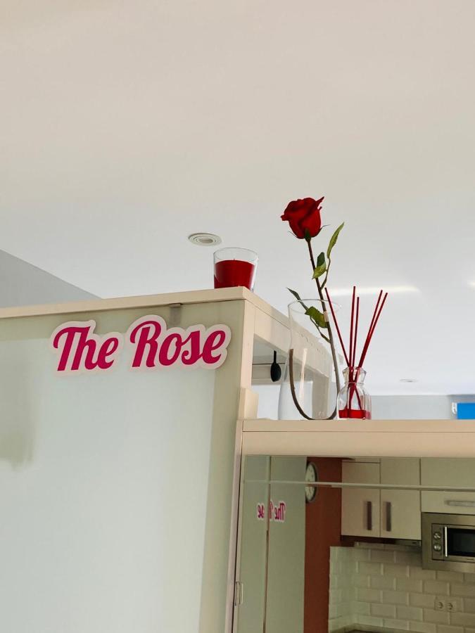 Apartmán Atico Loft The Rose 48 Cádiz Exteriér fotografie